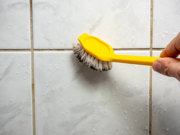 Trusted Robbins, NC Mold Removal Experts
