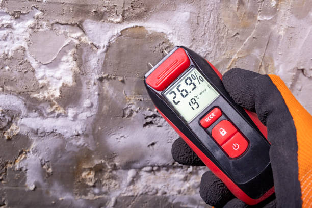 Best Mold Removal Near Me  in Robbins, NC
