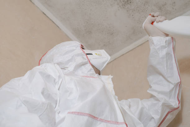 Best Emergency Mold Removal  in Robbins, NC
