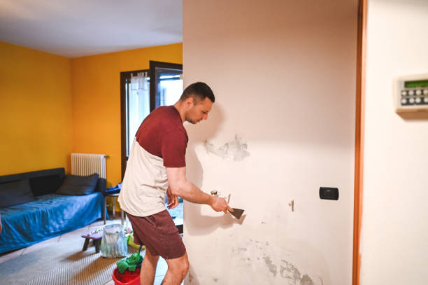  Robbins, NC Mold Removal Pros