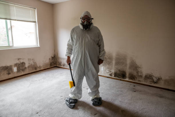 Best Fast Mold Removal  in Robbins, NC